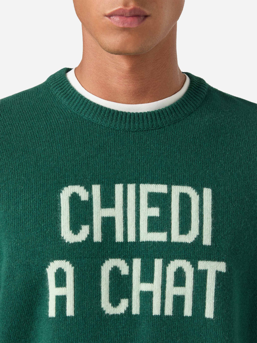 Maglia girocollo Heron verde con intarsio Chiedi A Chat