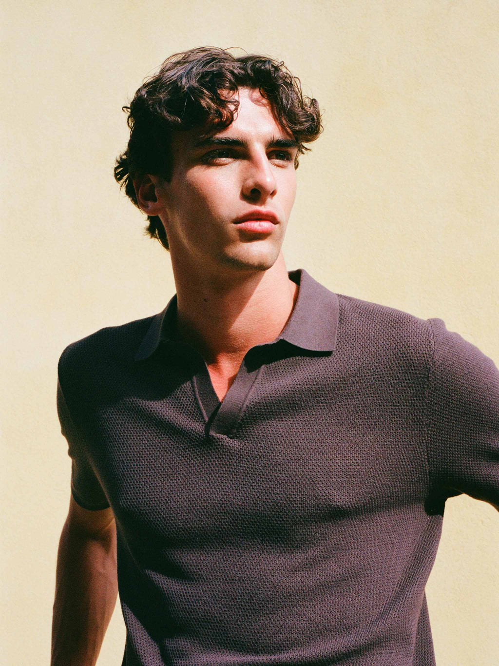 Polo in maglia Sloan Cotton marrone a rete product image 4