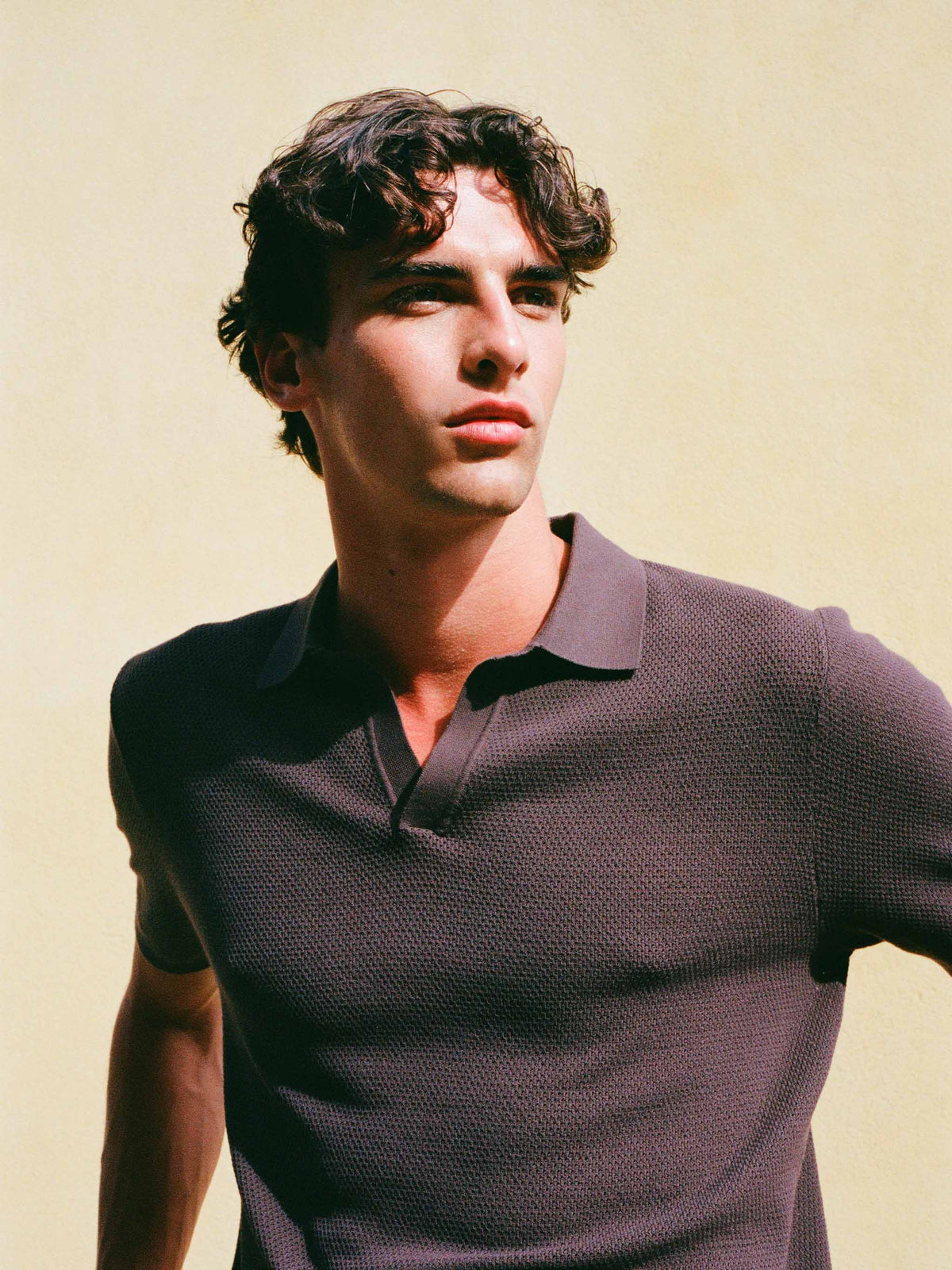 Polo in maglia Sloan Cotton marrone a rete product image 4