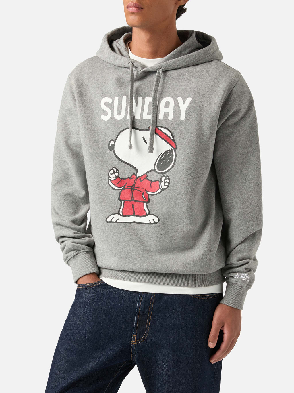 Felpa con cappuccio Tribeca grigia in cotone stampa Snoopy product image 2