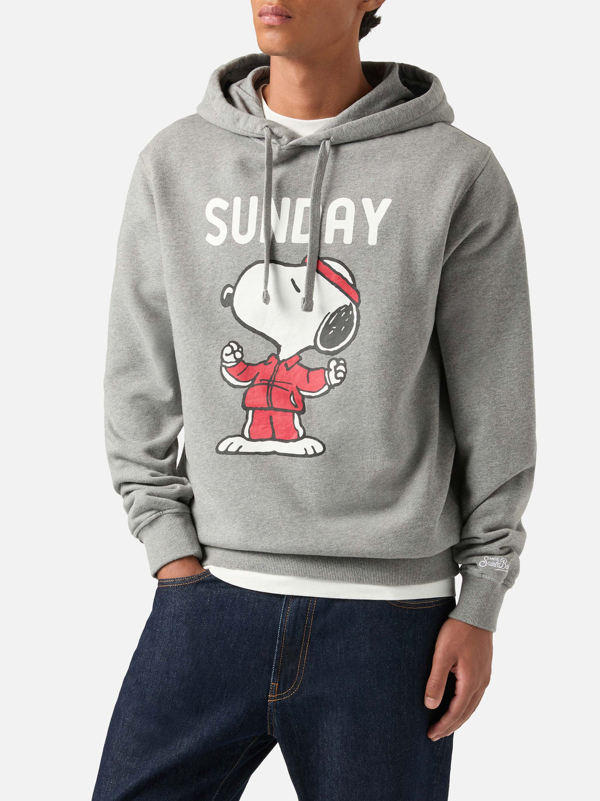 Felpa con cappuccio Tribeca grigia in cotone stampa Snoopy product image 2