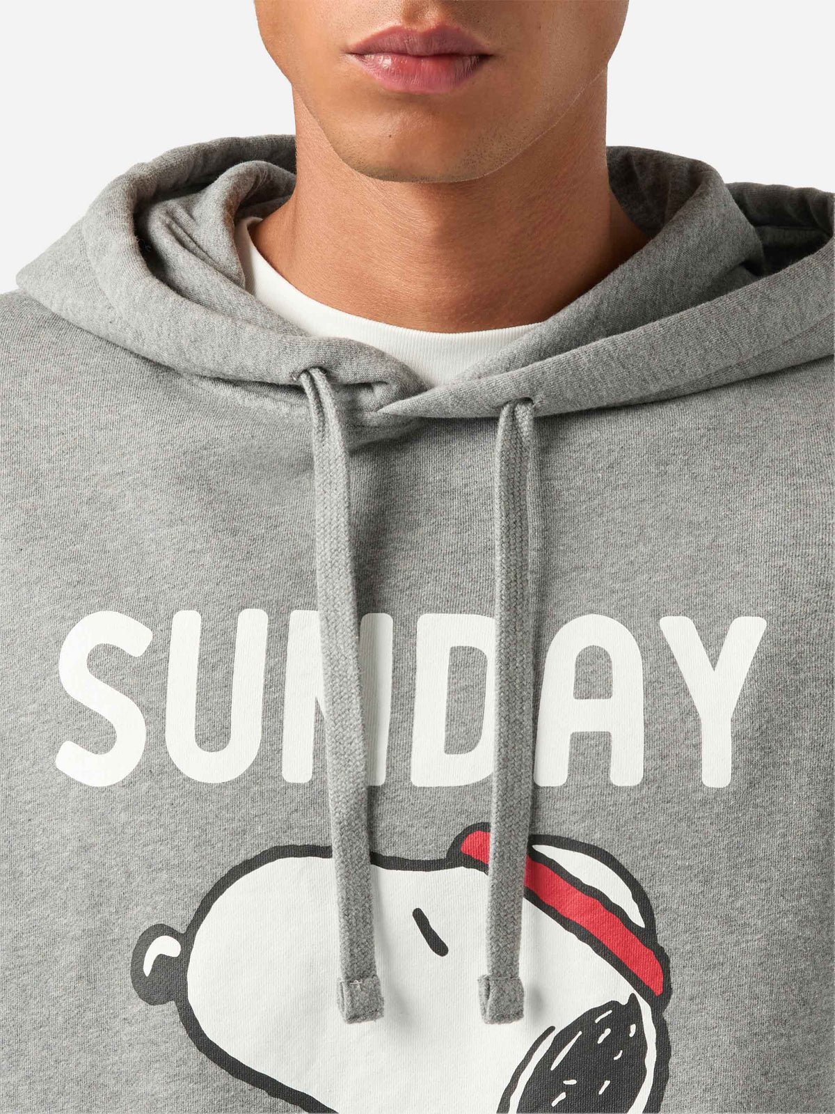 Felpa con cappuccio Tribeca grigia in cotone stampa Snoopy product image 3